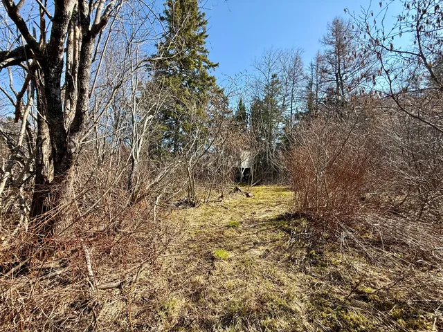 $99,000 | 30 Harrison Road, Dennysville, ME 04628