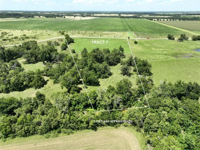 a view of a green field with lots of trees