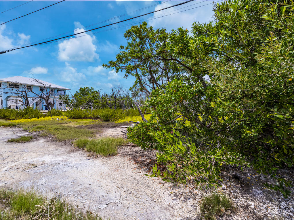 7 Calico Jack Circle Cudjoe, FL 33042 - Photo 12 of 17 a view of a yard with plants in front of house