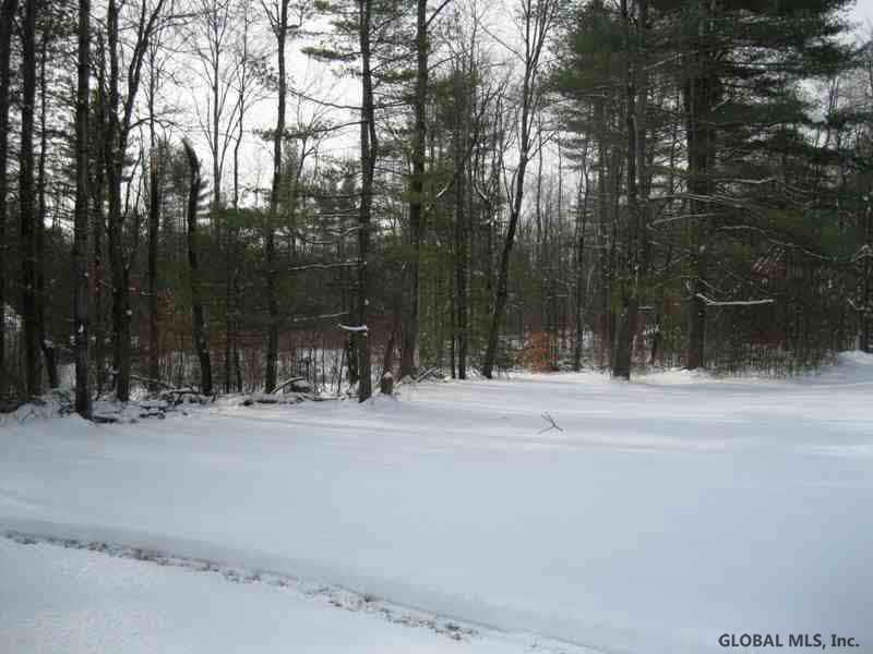 653 Colebrook Road Gansevoort, NY 12831 - Photo 10 of 12 Photo 10