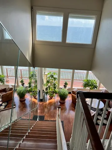 a living room with furniture and a potted plant