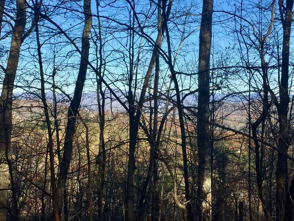 $281,800 | Undisclosed Address, Warne, NC 28909