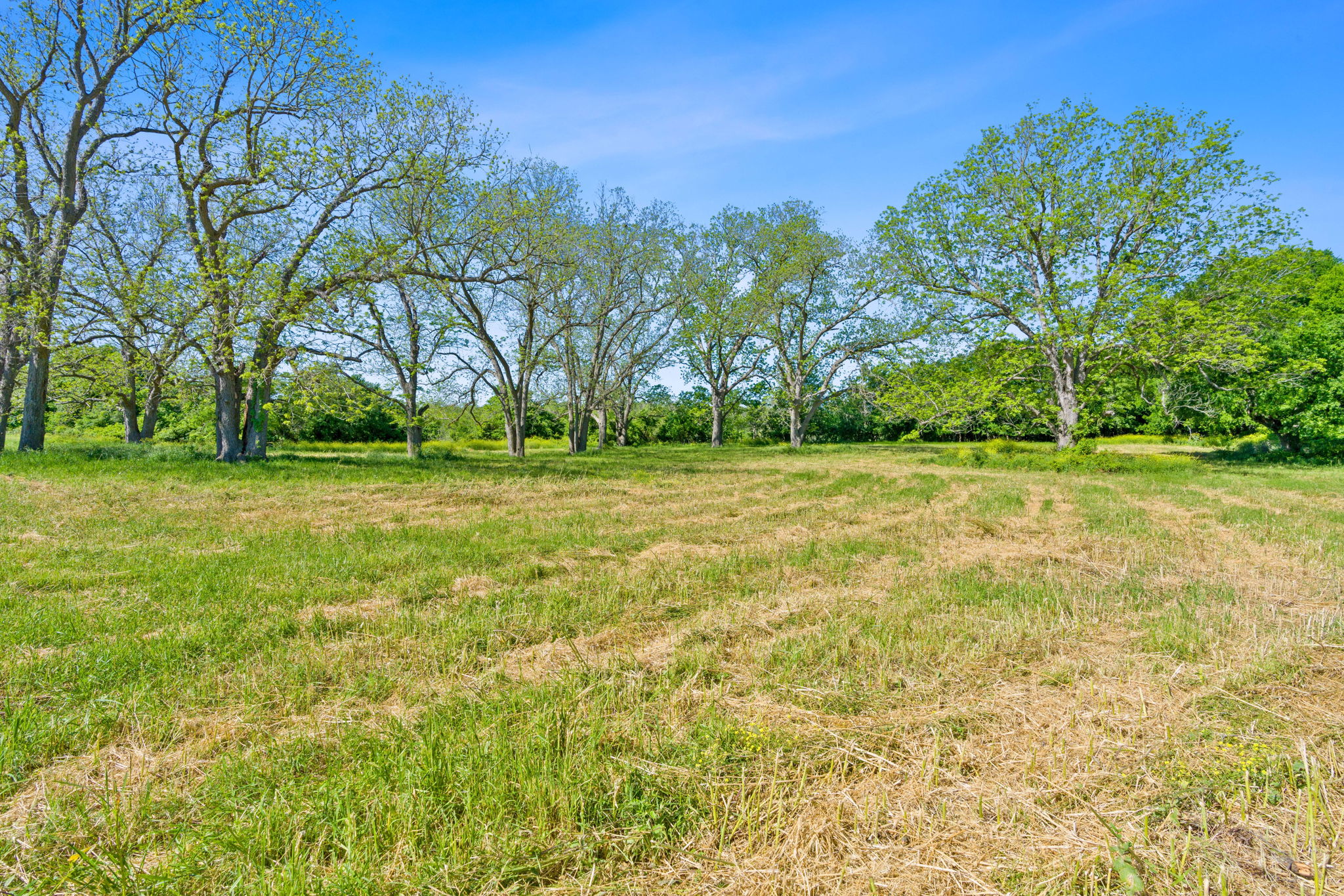 663 Sh 230 Loop Smithville, TX 78957 - Photo 12 of 36 a backyard of a house with lots of green space