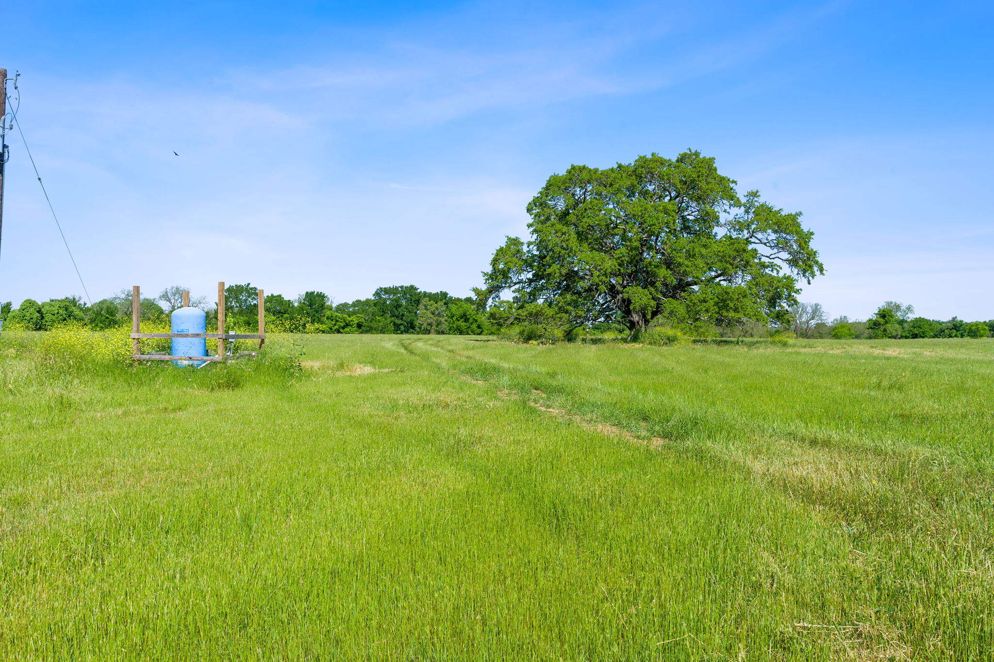 663 Sh 230 Loop Smithville, TX 78957 - Photo 13 of 36 a grassy field with a tree in the background