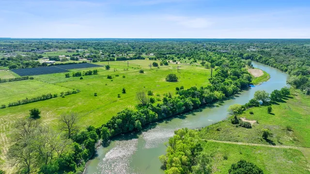 a view of a green field with lots of plants and trees in the background