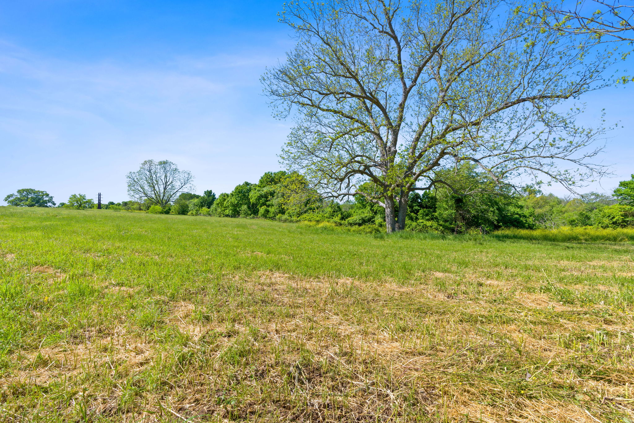 663 Sh 230 Loop Smithville, TX 78957 - Photo 23 of 36 a view of a field with an trees
