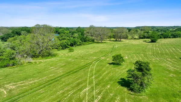 a view of a lush green space