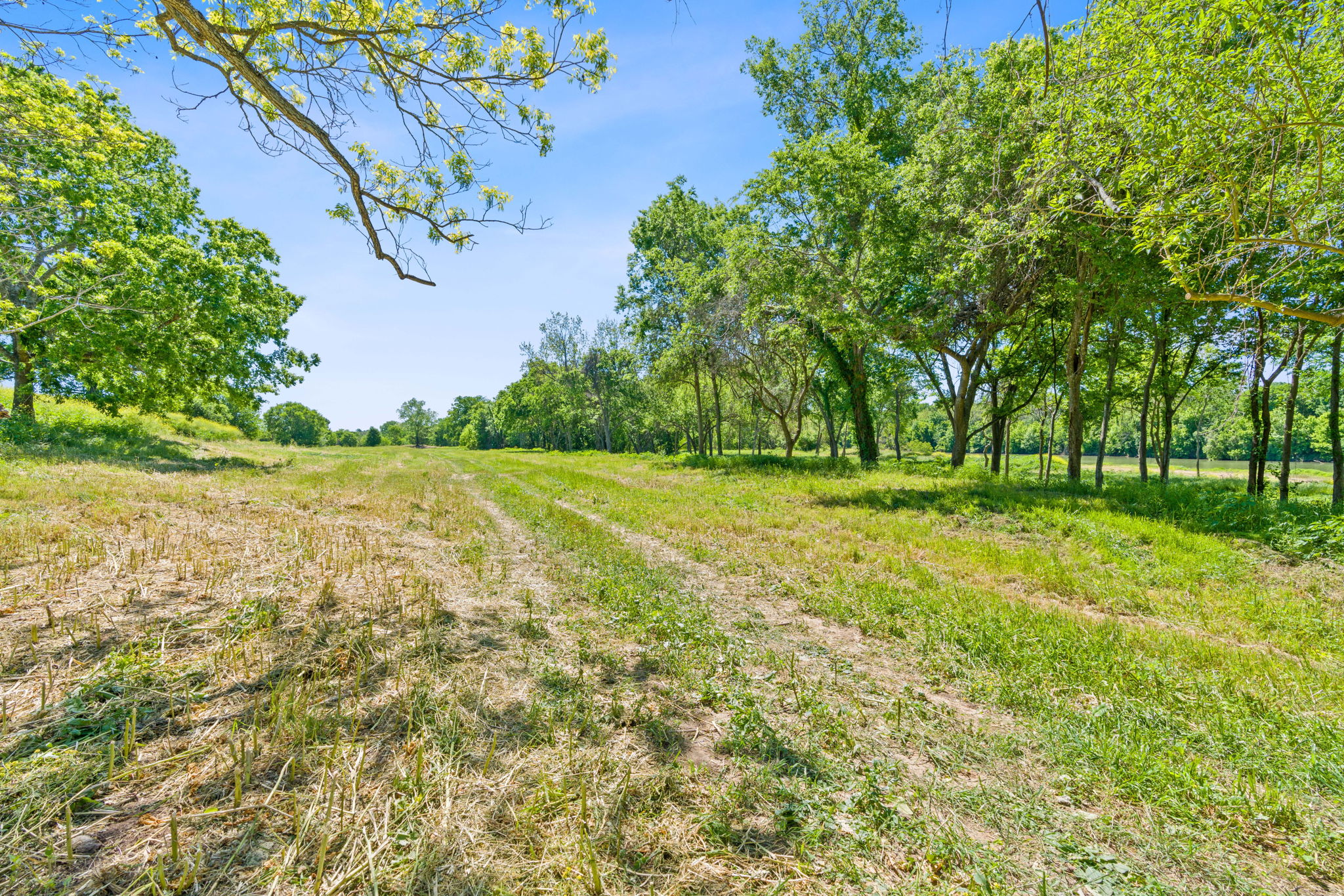 663 Sh 230 Loop Smithville, TX 78957 - Photo 10 of 36 a view of outdoor space with deck and yard