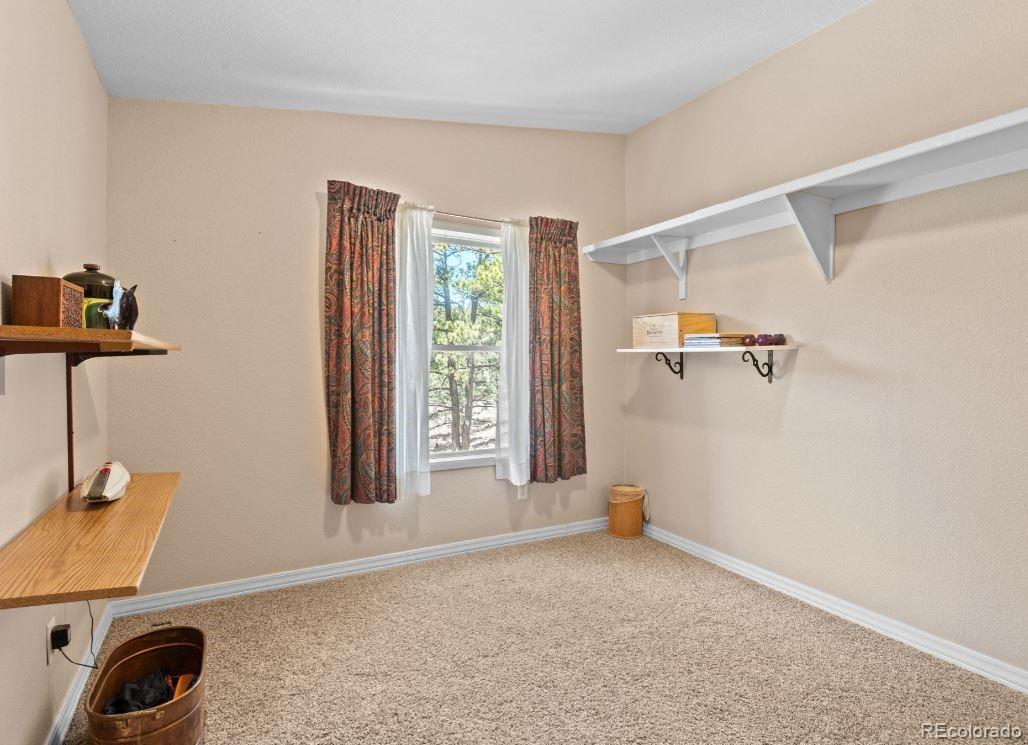 33626 Lutes Road Pine, CO 80470 - Photo 22 of 35
