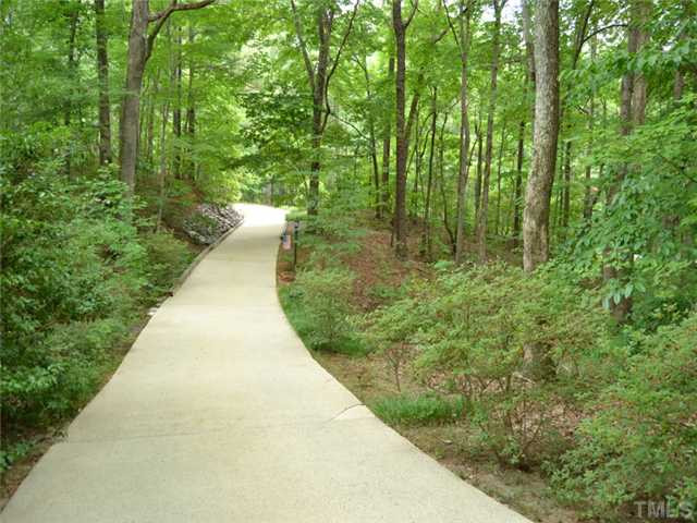 5304 Deep Valley Run Raleigh, NC 27606 - Photo 23 of 25 The long and winding road that leads to your home...your new home sits well back from the road in an all-natural low-maintenance woods. Other