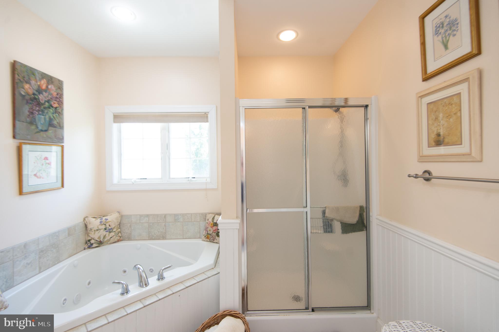 5332 Ragged Point Road Cambridge, MD 21613 - Photo 22 of 65 Primary Bath with walk in shower
