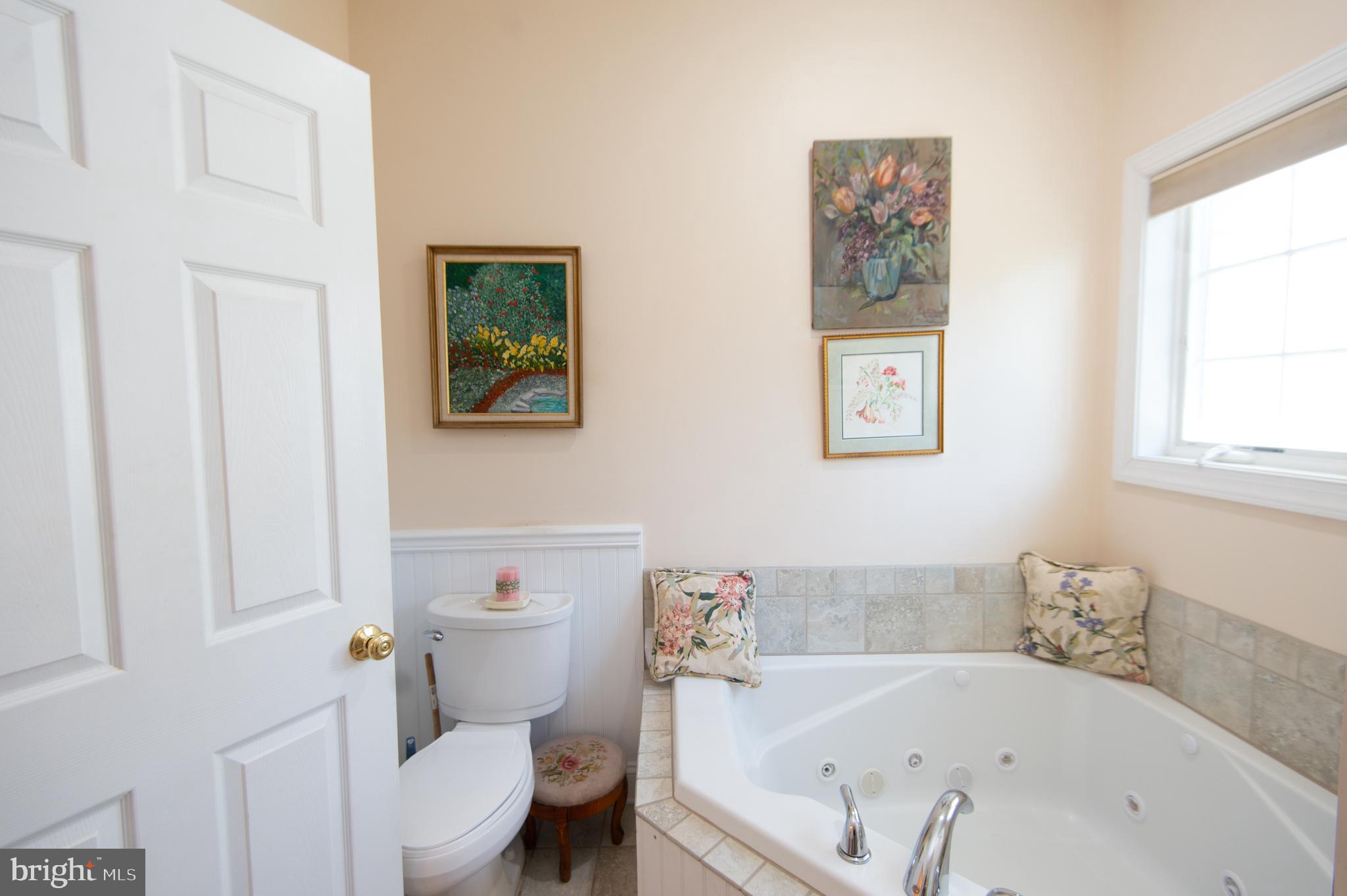 5332 Ragged Point Road Cambridge, MD 21613 - Photo 23 of 65 Jetted tub in primary bathroom