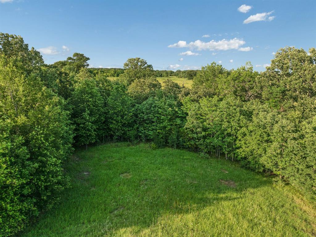 16918 Fr 410 Road Deport, TX 75435 - Photo 6 of 30