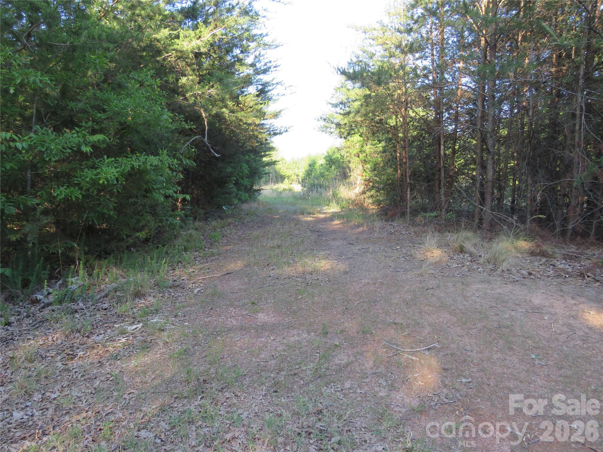 262 Flat Rock Road Forest City, NC 28043 - Photo 41 of 41