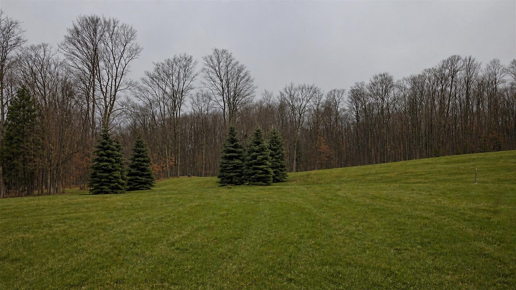 ***** Buckaroo Trail, Unit 12 Petoskey, MI 49770 - Photo 6 of 7