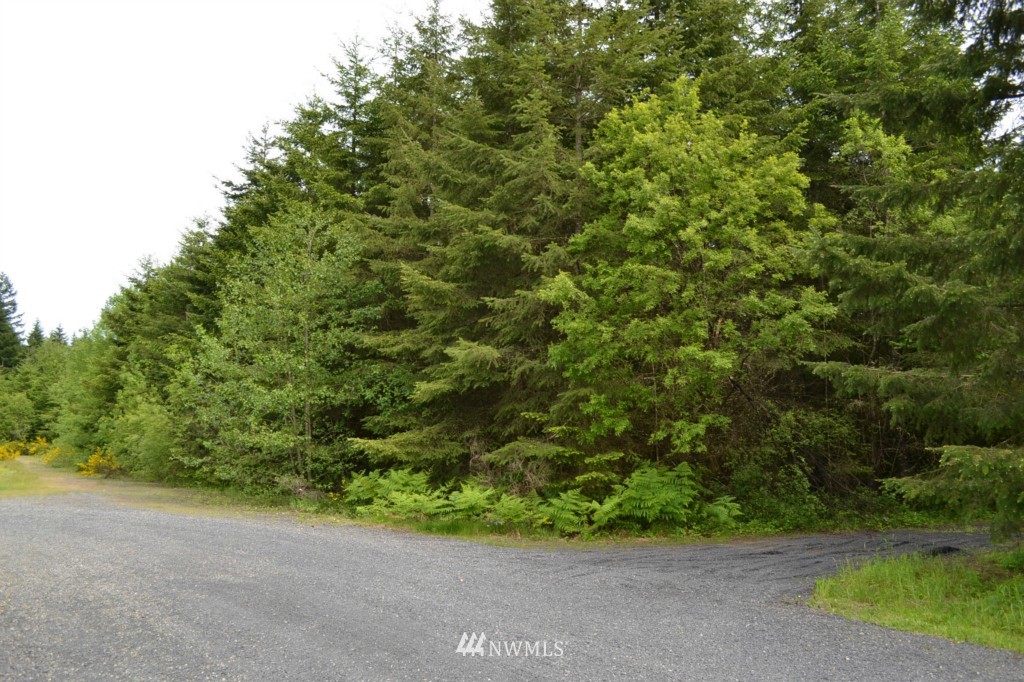101-24 Hawkins Road, Unit 4 Winlock, WA 98596 - Photo 1 of 7