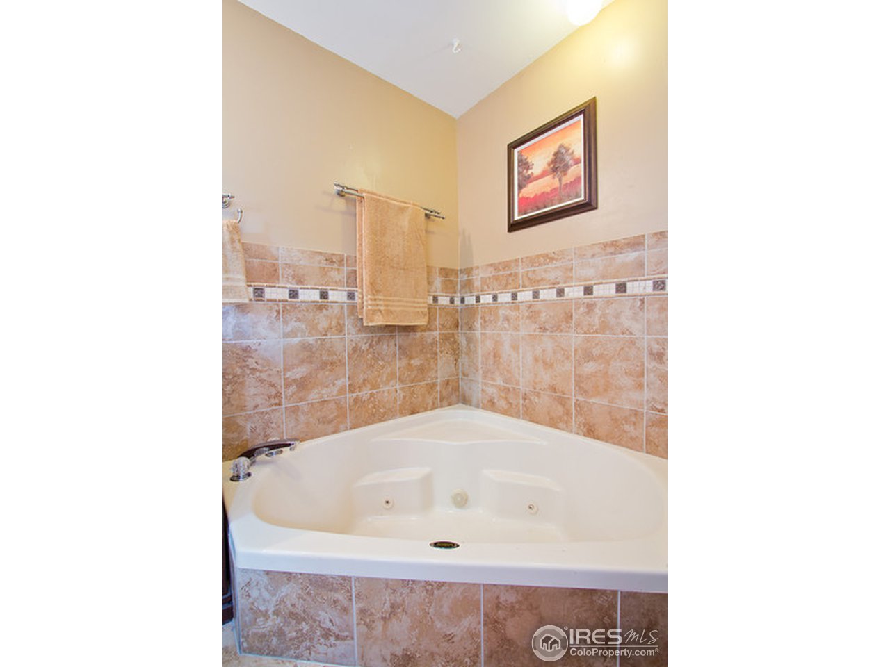 2318 West Prospect Road Fort Collins, CO 80526 - Photo 19 of 25 Master tub