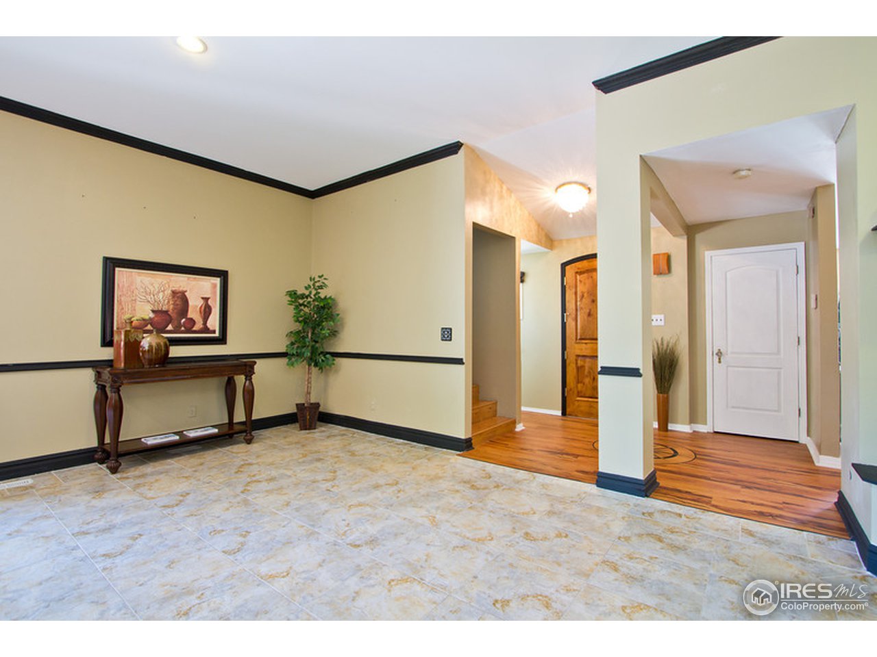 Entry/Living Room