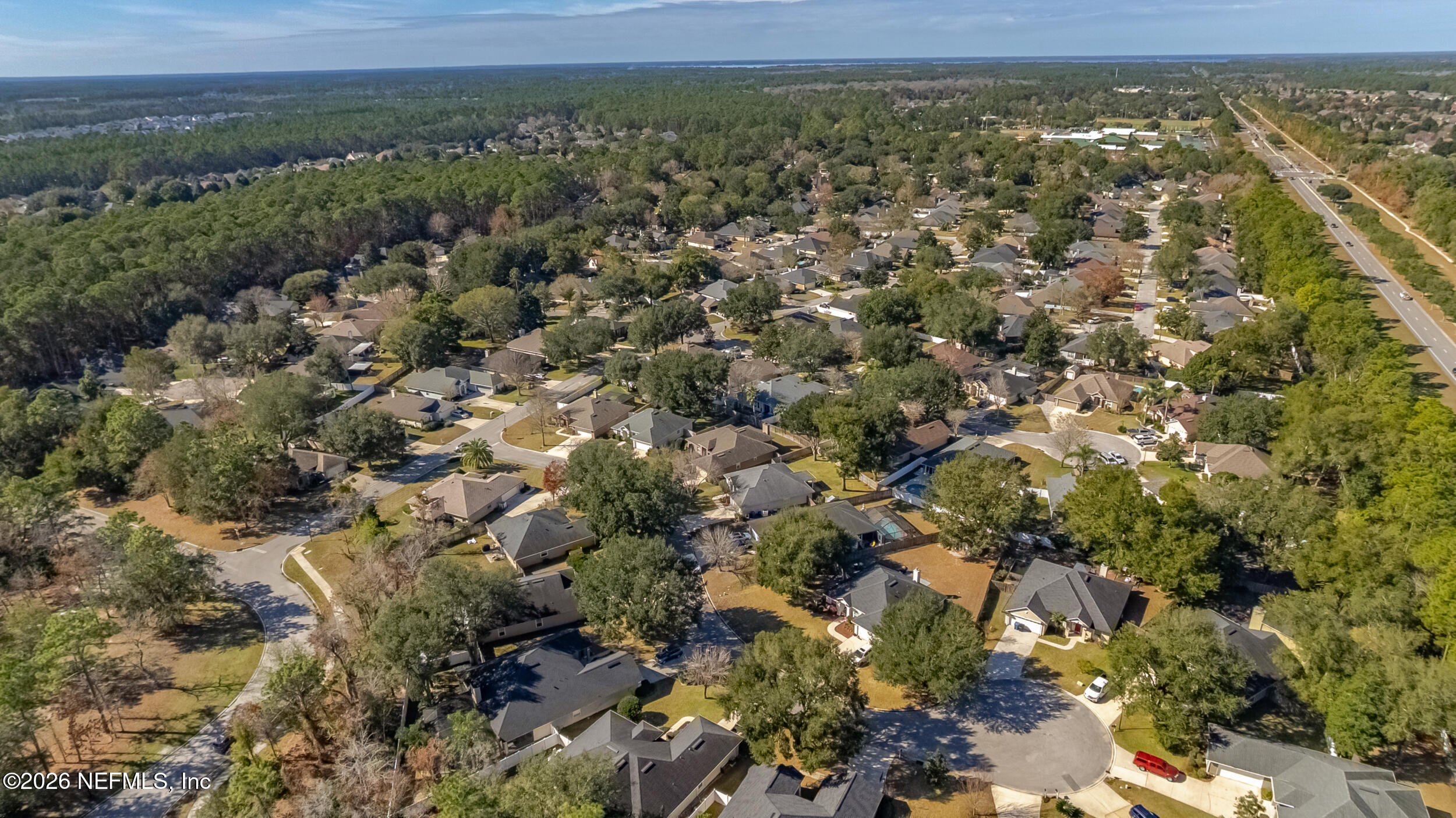4309 Rye Court St. Johns, FL 32259 - Photo 46 of 55 an aerial view of residential houses with outdoor space and trees