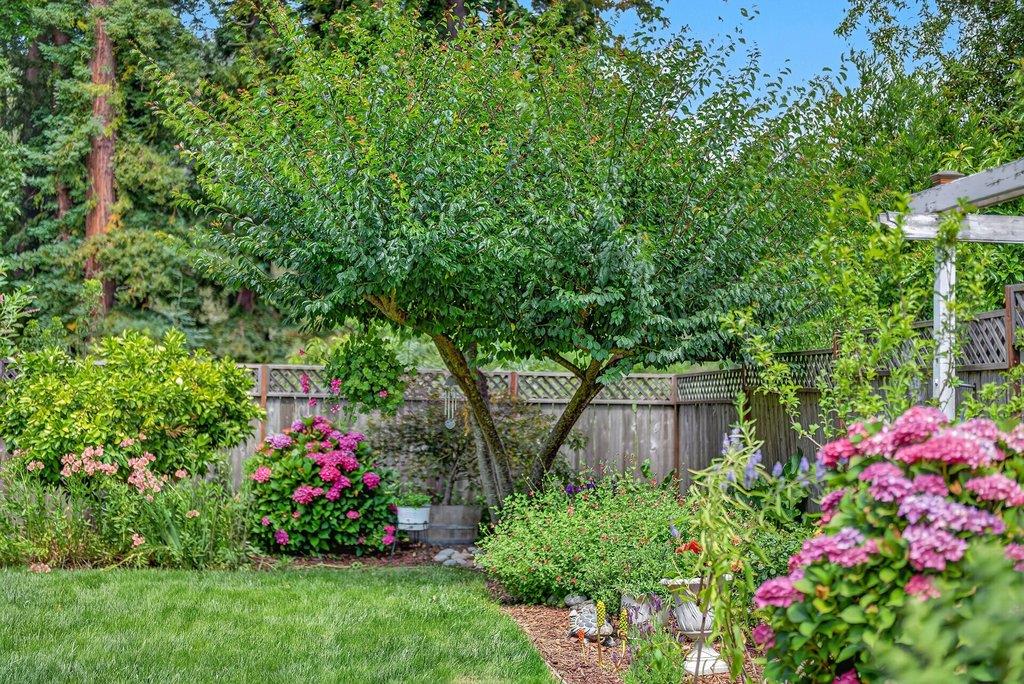 6476 Cooper Street Felton, CA 95018 - Photo 62 of 72