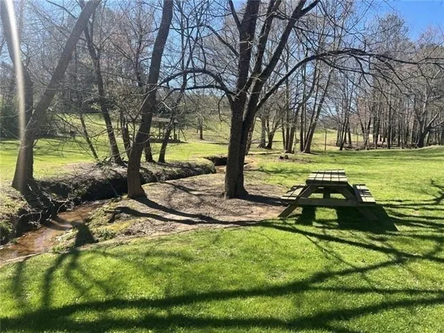 a park view with large trees