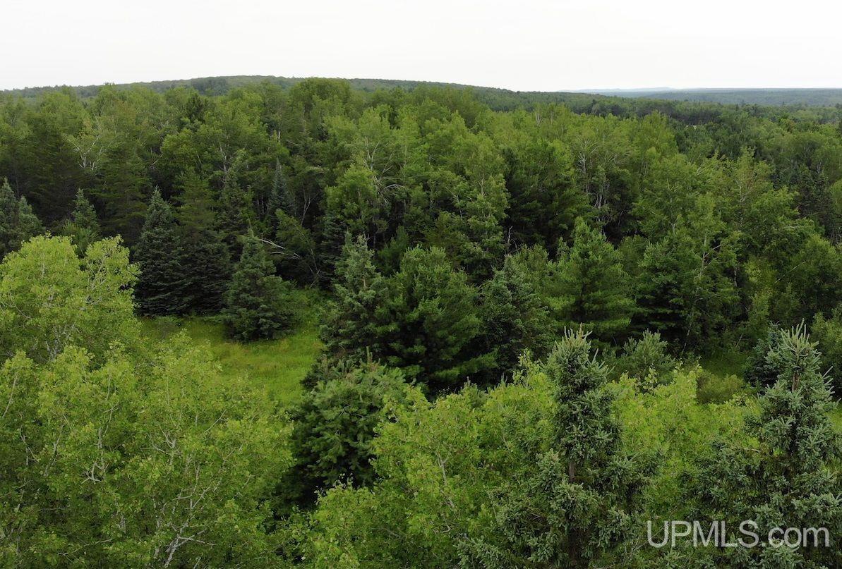 15 Grenlund Road Bruce Crossing, MI 49912 - Photo 3 of 18