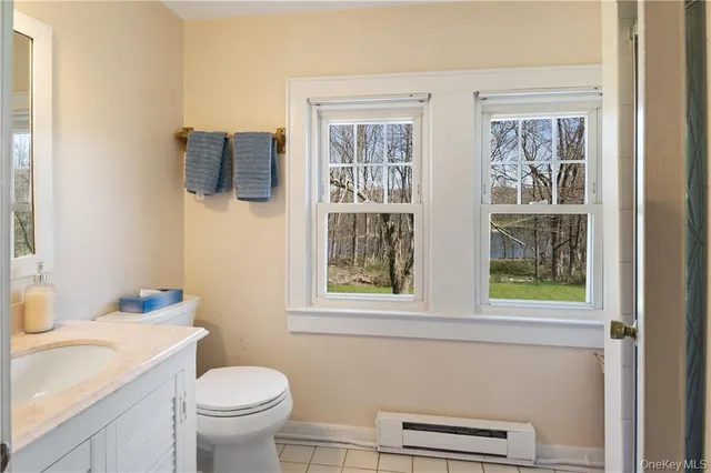 a bathroom with a toilet a sink and a window