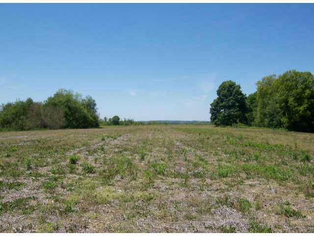 Tbd Armentrout Road Fredericktown, OH 43019 - Photo 1 of 2
