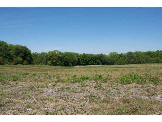 Tbd Armentrout Road Fredericktown, OH 43019 - Photo 2 of 2