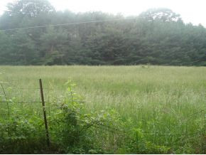 Lot #13 Sink Valley Road Butler, TN 37640 - Photo 1 of 8 Photo 1