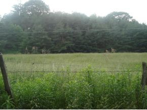 Lot #13 Sink Valley Road Butler, TN 37640 - Photo 2 of 8 Photo 2