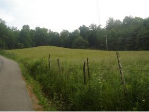 Lot #13 Sink Valley Road Butler, TN 37640 - Photo 3 of 8 Photo 3