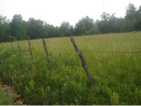Lot #13 Sink Valley Road Butler, TN 37640 - Photo 4 of 8 Photo 4