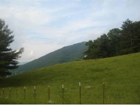 Lot #13 Sink Valley Road Butler, TN 37640 - Photo 5 of 8 Photo 5