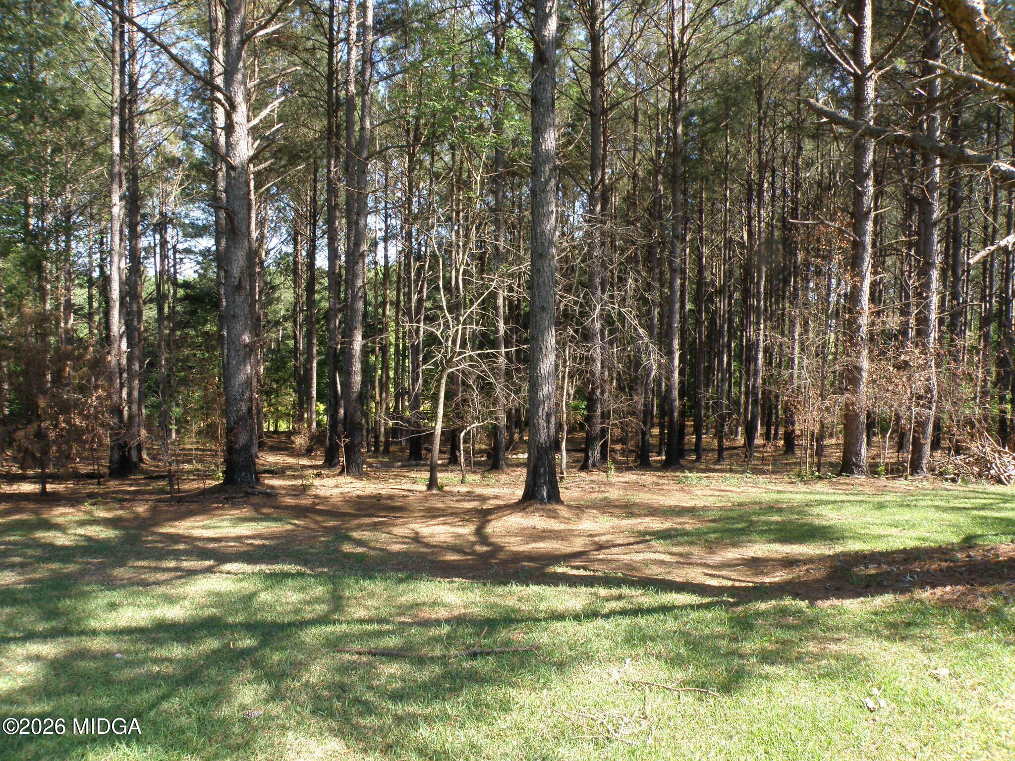 440 Smith Road Haddock, GA 31033 - Photo 29 of 31 View from Front Porch