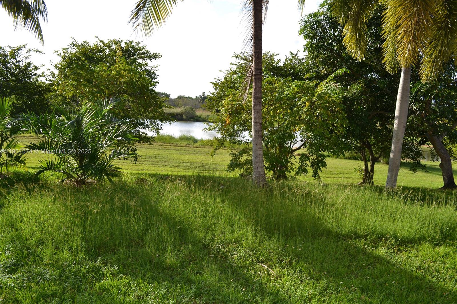 22418 Southwest 94th Path Cutler Bay, FL 33190 - Photo 46 of 71 a view of an outdoor space and a yard
