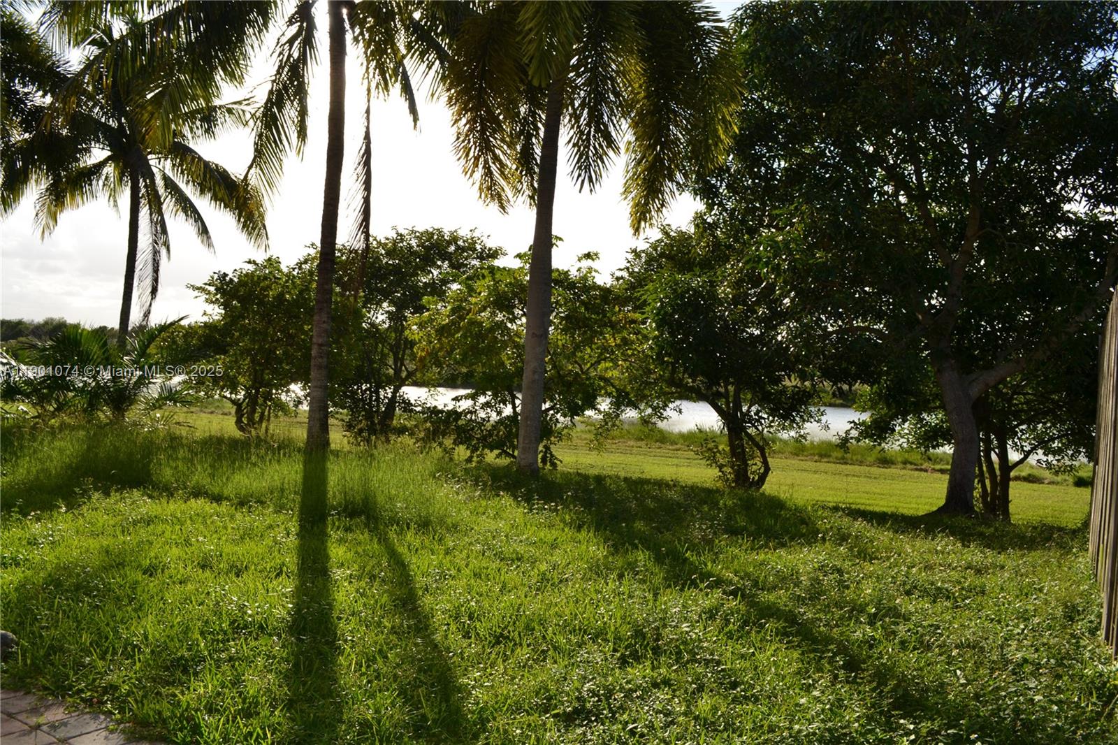 22418 Southwest 94th Path Cutler Bay, FL 33190 - Photo 48 of 71 View of the gorgeous lake from the backyard.