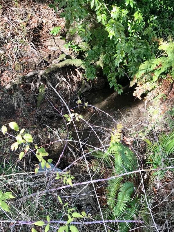 0 Cemetery Road Blocksburg, CA 95514 - Photo 11 of 11