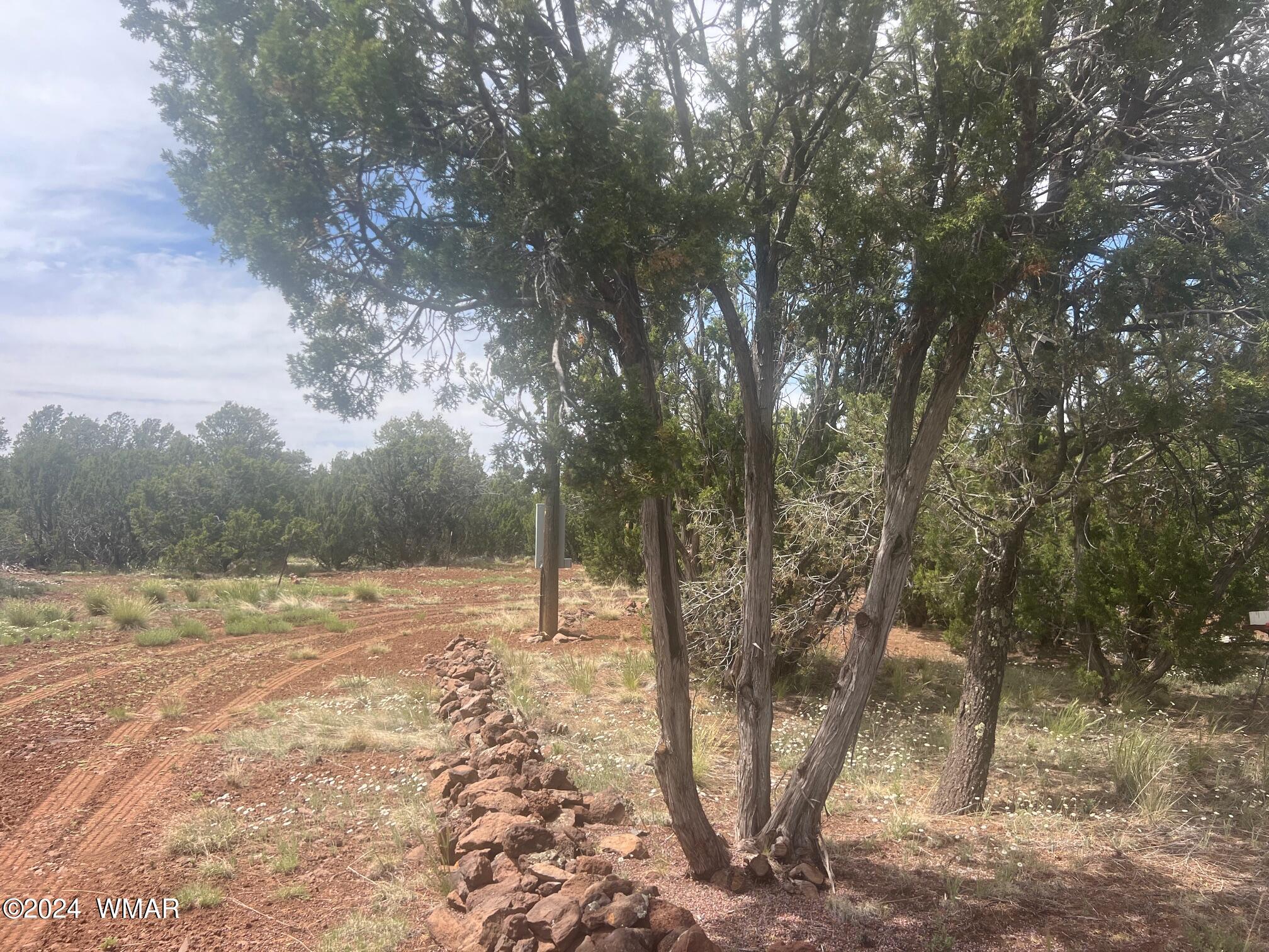 52 Co Road Vernon, AZ 85940 - Photo 14 of 32 DRIVE