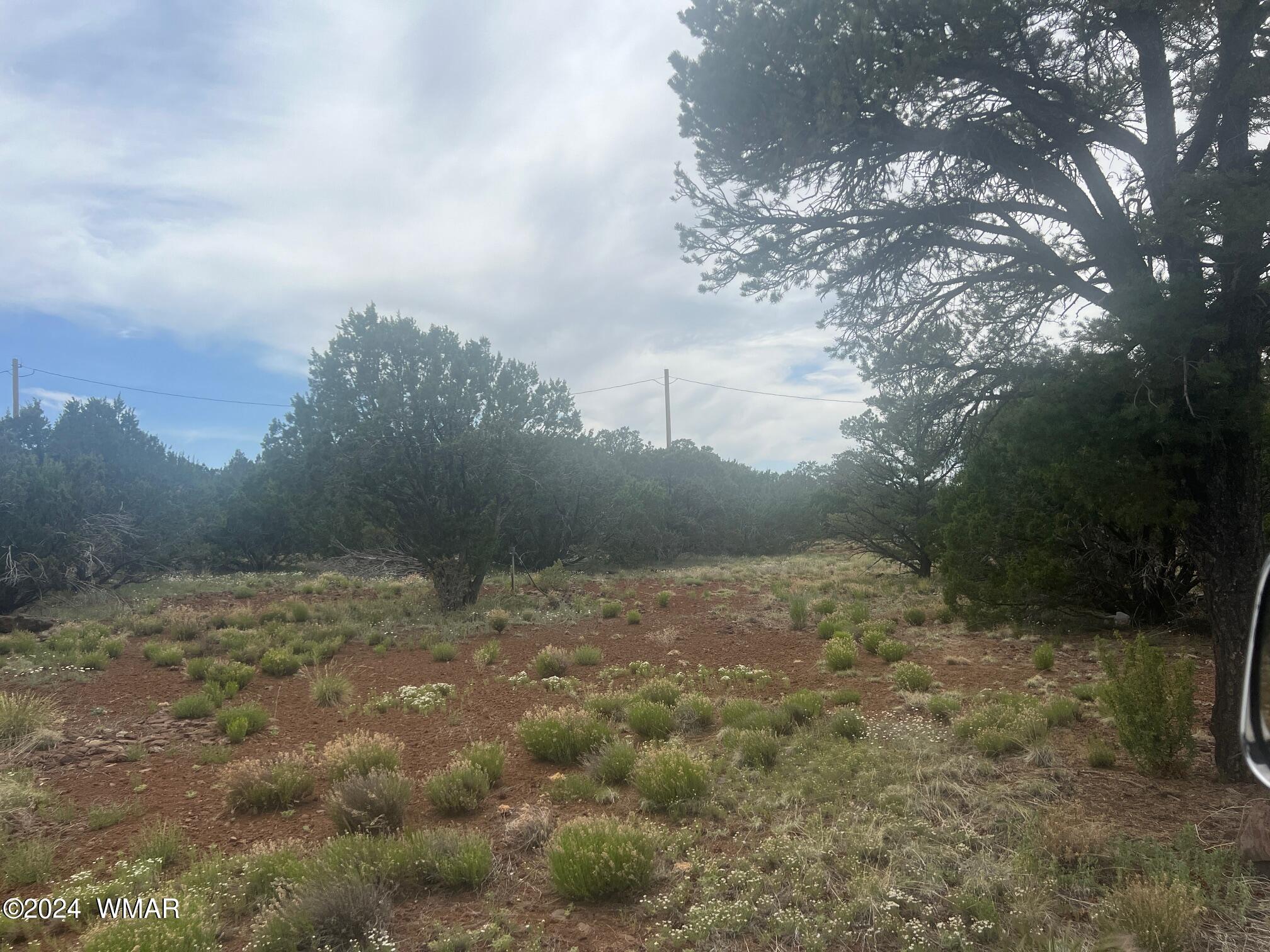 52 Co Road Vernon, AZ 85940 - Photo 16 of 32 LOT