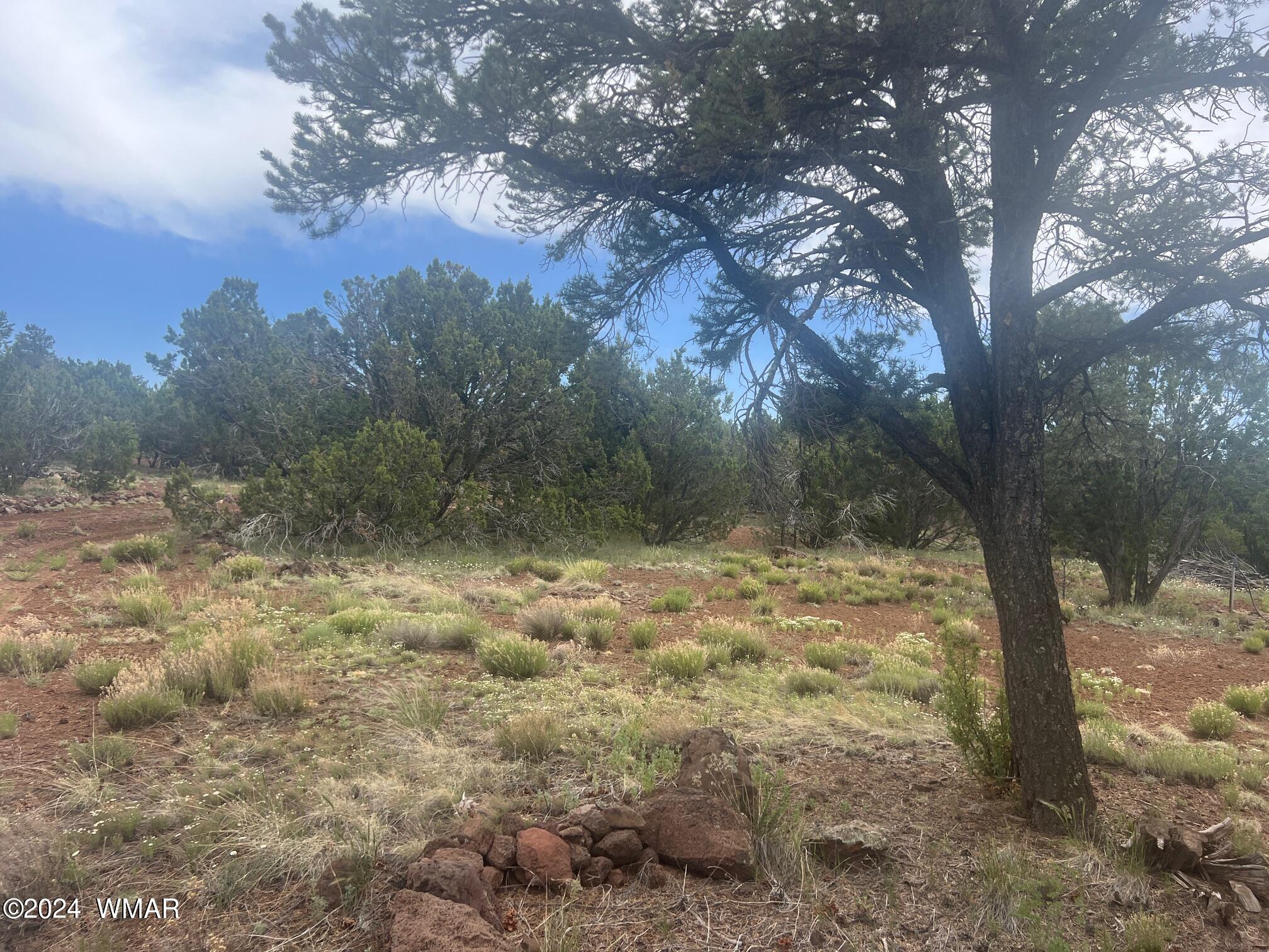 52 Co Road Vernon, AZ 85940 - Photo 17 of 32 LOT