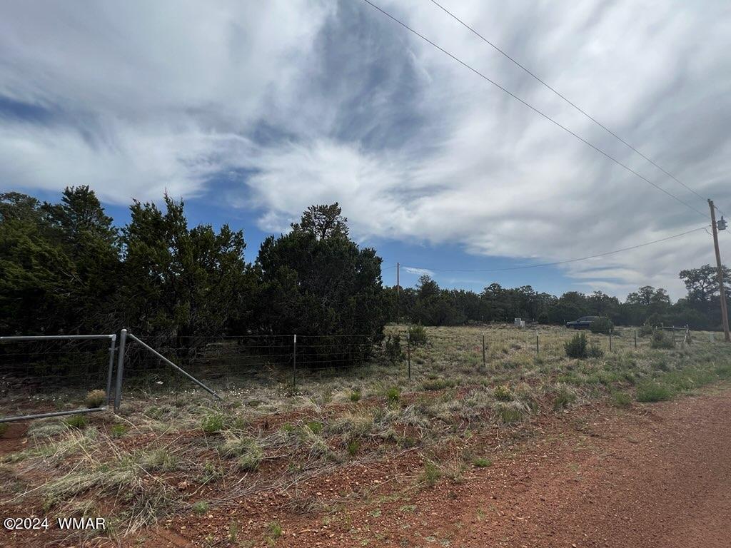 52 Co Road Vernon, AZ 85940 - Photo 19 of 32 ROAD
