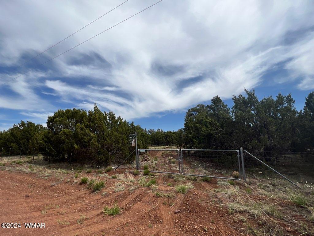 52 Co Road Vernon, AZ 85940 - Photo 20 of 32 GATE