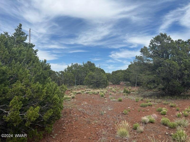 52 Co Road Vernon, AZ 85940 - Photo 22 of 32 LOT