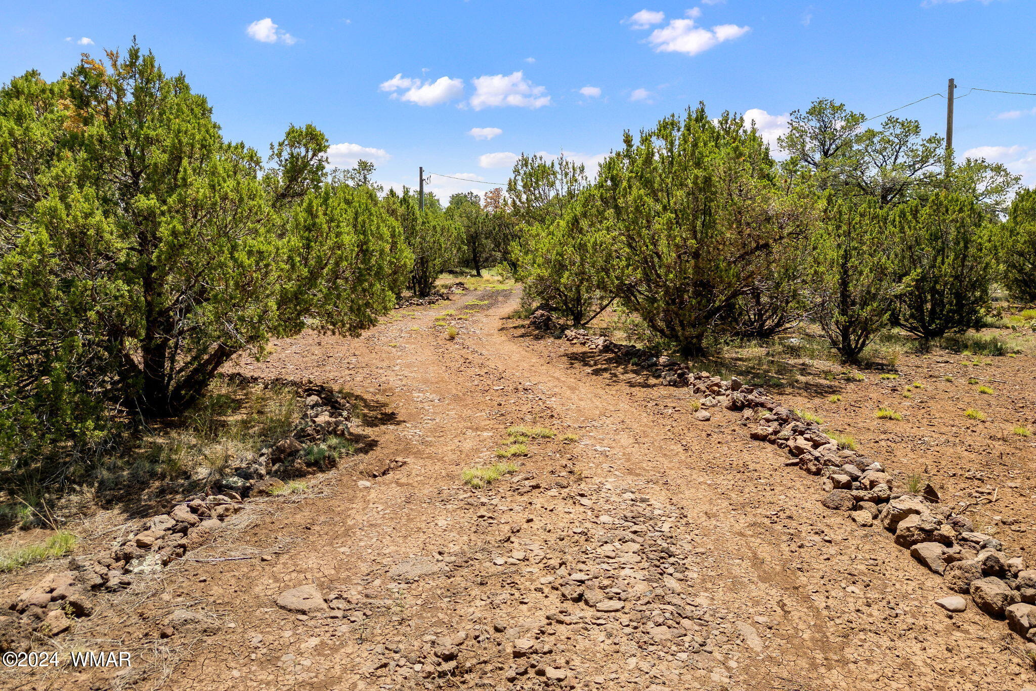 52 Co Road Vernon, AZ 85940 - Photo 4 of 32 52CoRd3157-Vernon-AZ-14