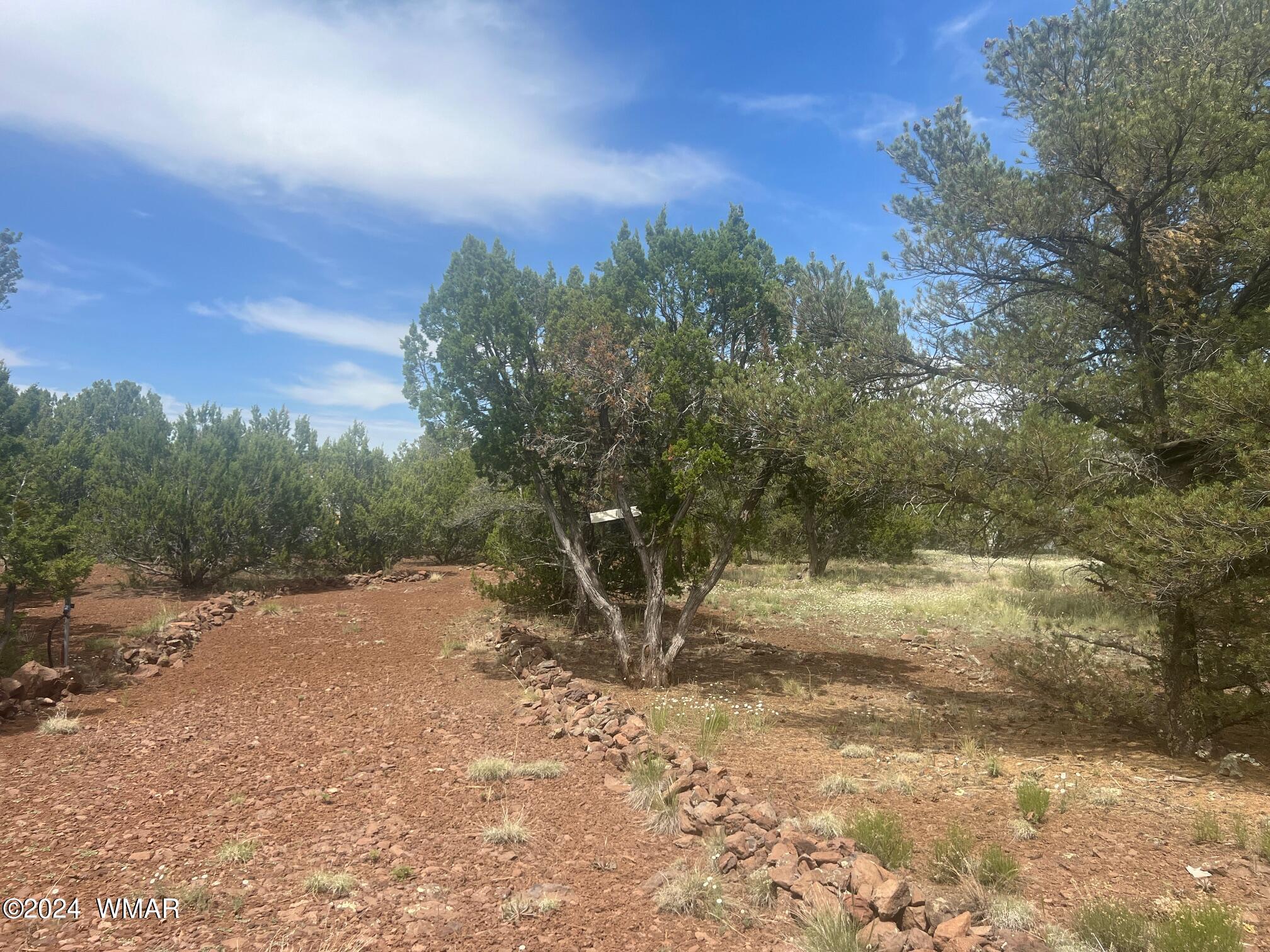 52 Co Road Vernon, AZ 85940 - Photo 7 of 32 DRIVEWAY