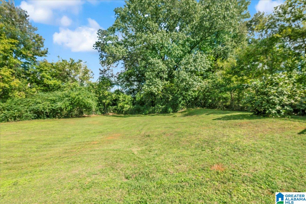 5022 Pleasant Hill Road Bessemer, AL 35022 - Photo 10 of 26