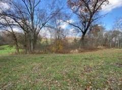 336 Walkchalk Road Kittanning, PA 16201 - Photo 35 of 49 a view of a yard with a tree