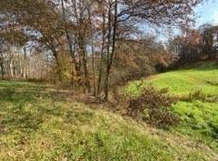 336 Walkchalk Road Kittanning, PA 16201 - Photo 40 of 49 a view of backyard with green space