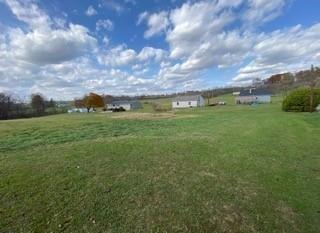 336 Walkchalk Road Kittanning, PA 16201 - Photo 48 of 49 a view of a big yard with a large tree